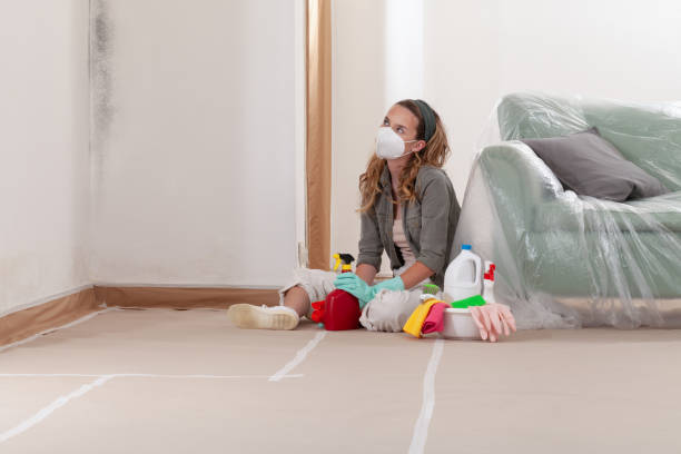 Reliable Mold Removal contractor in Wood Dale, IL by Mold Remediation HQ